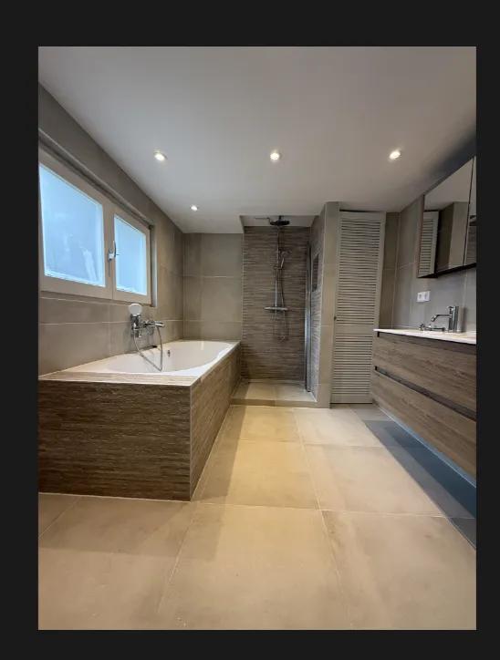 The Ultimate Guide to Bathroom Renovation in Amsterdam