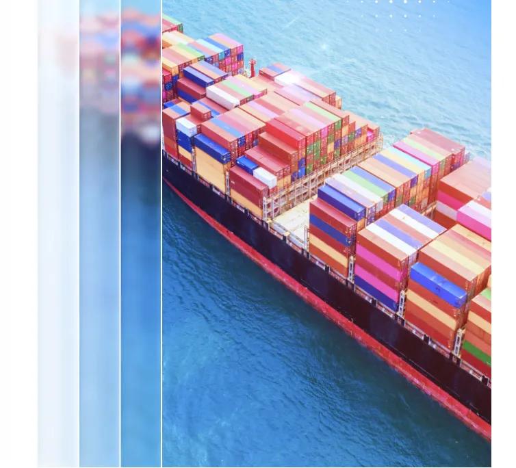 Best Logistics Software Development Companies in the USA